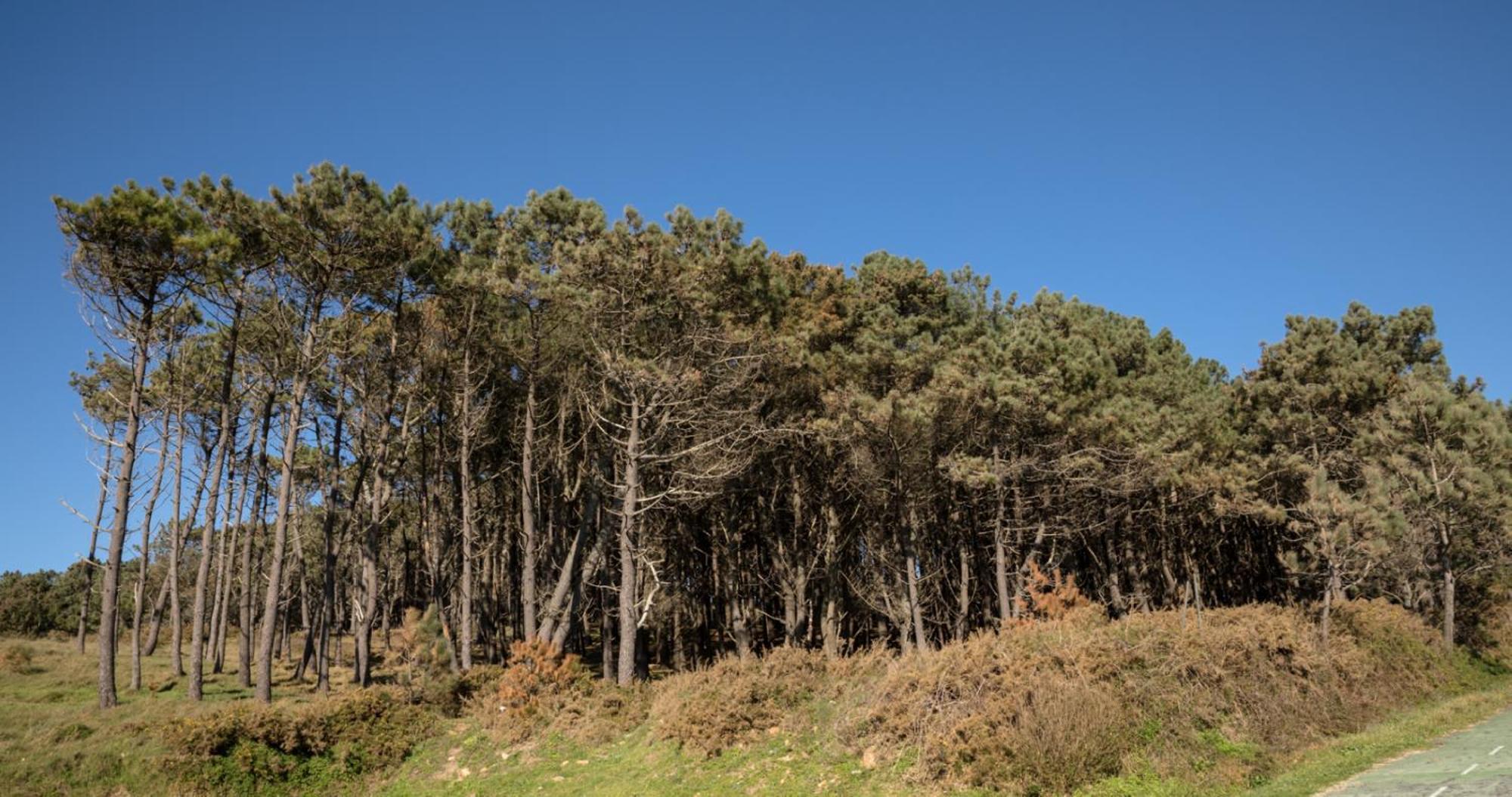 Doninos Nature Eksteriør billede